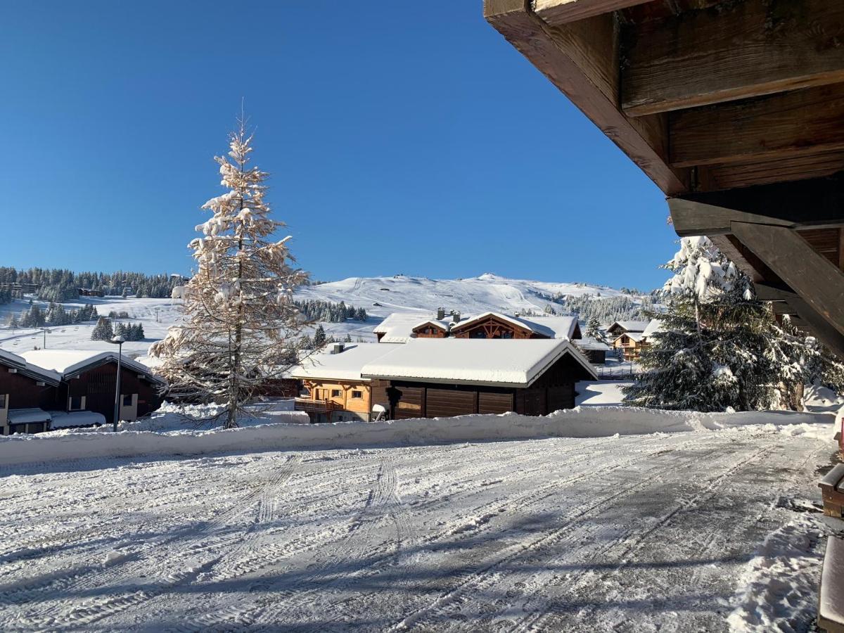 Cosy Aux Saisies N1