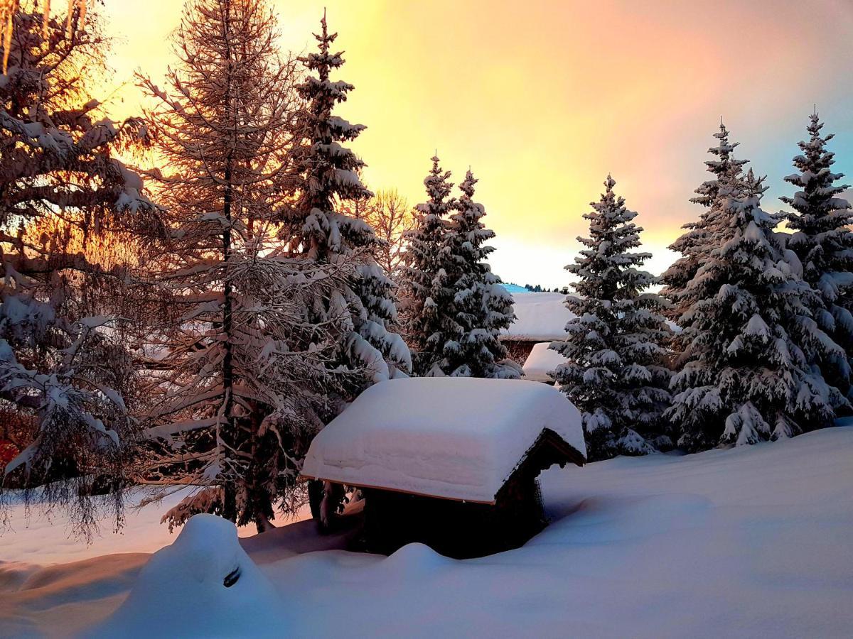 Cosy Aux Saisies N1 Apartment *
